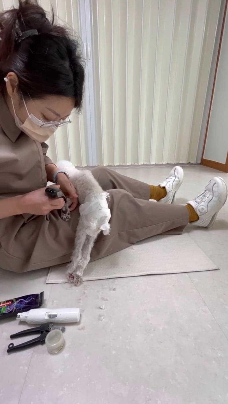 미용 테이블 대신 바닥에 앉아 반려견을 무릎에 안은 채 발 관리를 진행하는 모습